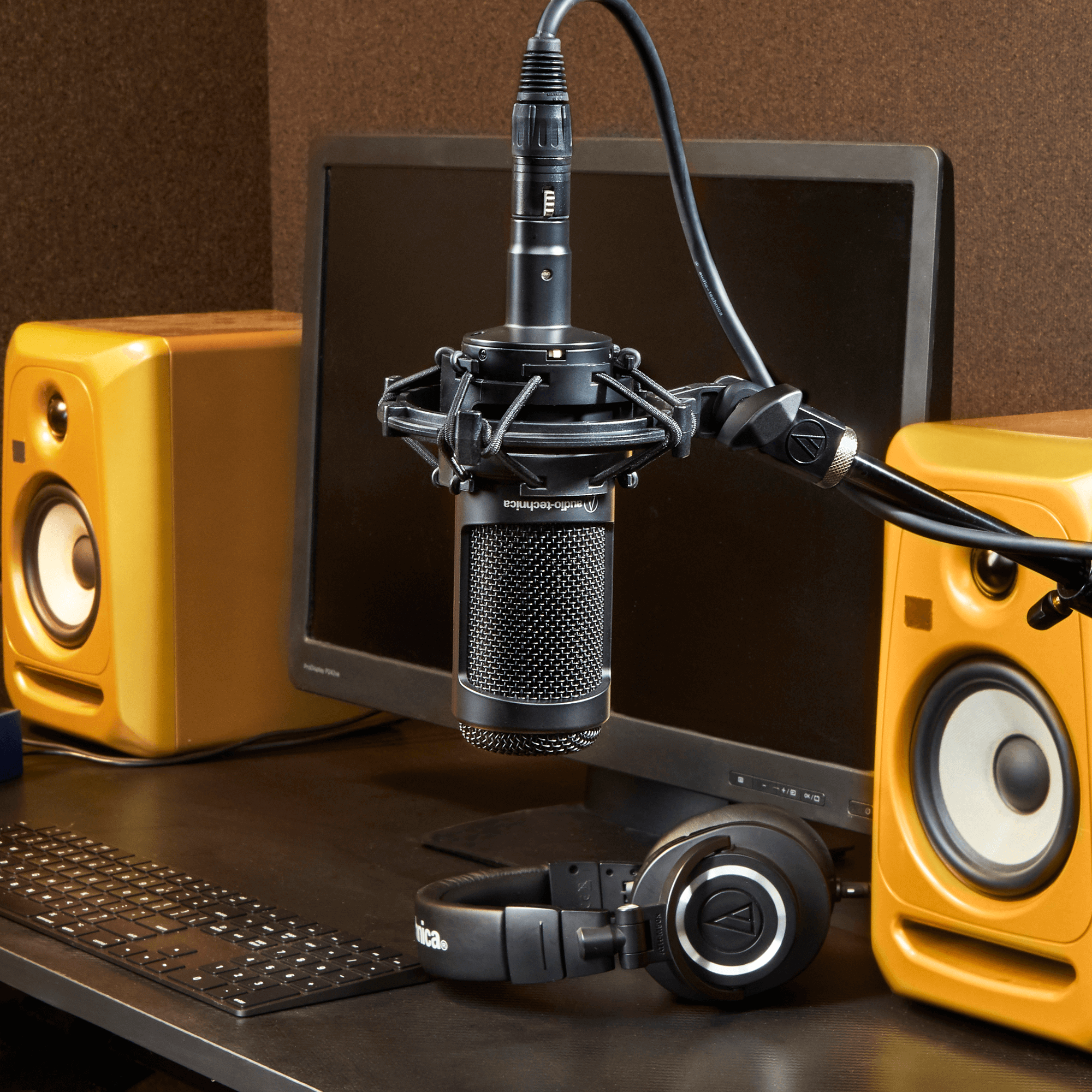 Multi-pattern Condenser Microphone | AT2050 | Audio-Technica