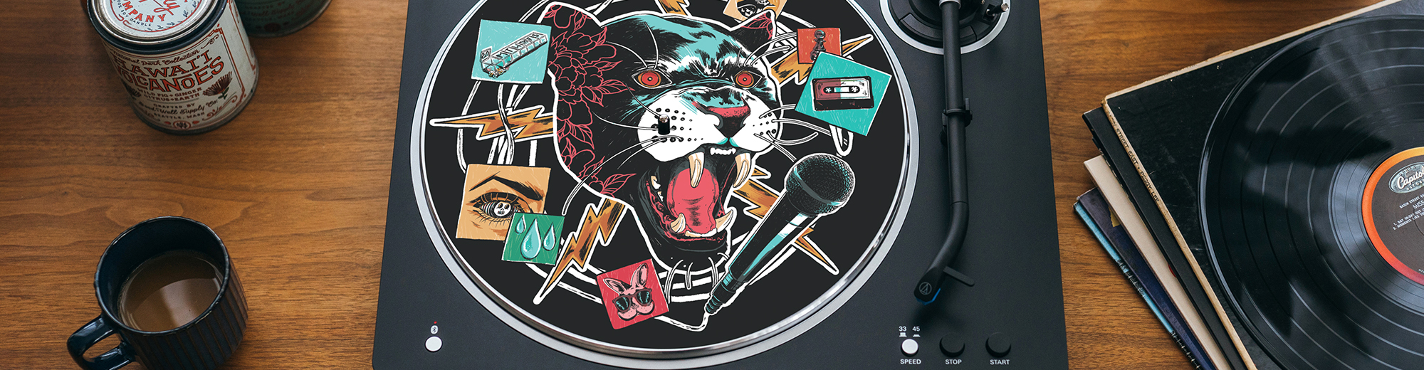 Turntable Slipmats - Accessories - Turntables | Audio-Technica