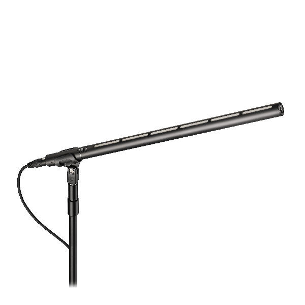 Line + Gradient Large Diaphragm Condenser Microphone | BP28L