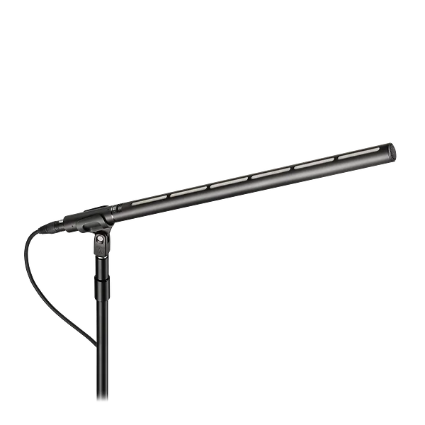 micさん専用 Line + Gradient Large Diaphragm Condenser Microphone | BP28